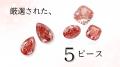 幻の「レッドダイヤモンド」が100分の一以下の価格で