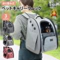 【先着50枚限定!15％OFFクーポン配布中】ペットとの秋