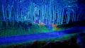 LiDAR・点群データの研究利用をサポート！大学や高校