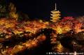 世界遺産「平等院」「東寺」「清水寺」にて1日1組限定