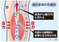 【新製品】メディキュットから、60歳からの脚ケア*シ