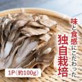 【残暑に負けない食卓を応援！全4つのキャンペーンを