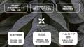 NINZIA（ニンジャ）、1億円の資金調達を完了。蒟蒻由