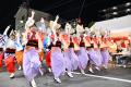 【埼玉県越谷市】第３９回南越谷阿波踊りが開催されま