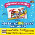 【リニューアル】人気のフレーバーが4種類！異なる食