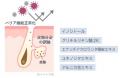 皮膚科発想*1コメ発酵液「エフイシイ(R)」*2配合、“肌