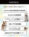 ＼待望の初開催！／8月30日（土）ワタワン史上最大級