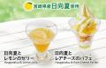 【宮崎県初出店】“宮崎県産 日向夏”を使用した限utf-8