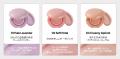 TIRTIR、新メッシュ型チーク「AIRY BLOOM MESH BLUSH