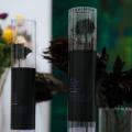 横浜発！世界が注目する花の新技術 - Mystic Flowerが