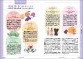 和紅茶の「探し方」「買い方」「淹れ方」「楽しみ方」