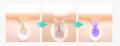 『整える、引き締める、潤う。』REJURAN COSMETICSよ