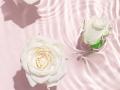 【RESALON】be my floraの酵素づくりから着想を得た”