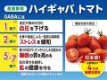 健康を願う気持ちと”ありがとう”を贈る【敬老の日ハイ