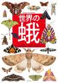 【“蛾”を愛するすべての人に！】貴重なヴィジュアル多
