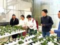 HOLUSベトナム法人AGRIEX、北海道大学の学生をインタ