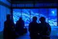 謎解きと没入感、体験型アートイベントを京都妙utf-8