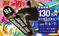 【入場無料】9/6(土)・7日(日)はおおきに祭でこの夏最