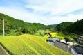【9月～12月のうち７日間】津野町の魅力をどっぷり体