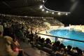 京都水族館が二夜限りの「長栄入居者専用アクアリウム
