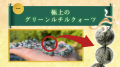 60年に一度の乙巳の奇跡【巳福神】｜10/27の「己巳の