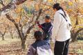 【掛川栗ヌーボー2025】たこまん自社農園「くりくり園