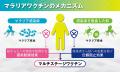 国立大学法人金沢大学マラリアで奪われる命をゼutf-8