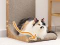 壁を傷つけず、猫がのび〜っと爪とぎできる進化utf-8