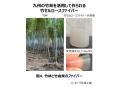 ついに実現 「汗に強く」×「心地よい」理想の日焼け止 ついに実現 「汗に強く」×「心地よい」理想の日焼け止