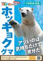 ホッキョクグマ・ホウちゃん、氷の遊具に夢中　大阪ト