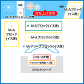 日本最多数(※1)の大迫力花火で2026年の門出を感動の最 日本最多数(※1)の大迫力花火で2026年の門出を感動の最