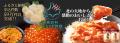 北海道・鹿部町のふるさと納税 定番人気返礼品『utf-8