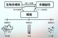 【龍谷大学】生物多様性が生態系の