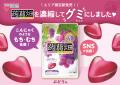 蒟蒻畑からグミタイプが新発売！『ぎゅぎゅっと特濃蒟