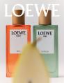 LOEWE Perfumes(ロエベ パルファム)が神戸に新店舗 LOEWE Perfumes(ロエベ パルファム)が神戸に新店舗