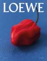 LOEWE Perfumes(ロエベ パルファム)が神戸に新店舗 LOEWE Perfumes(ロエベ パルファム)が神戸に新店舗
