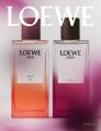 LOEWE Perfumes(ロエベ パルファム)が神戸に新店舗 LOEWE Perfumes(ロエベ パルファム)が神戸に新店舗