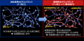耐摩耗性能と低電費性能の両立を高次元で実現
Eutf-8