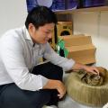 猫の多頭飼育崩壊に歯止めを。「CatsMeコネクト」保護