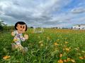 今だけの花見スイーツ体験！コスモスを眺める滋賀・東