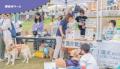 【2025年10月4日開催】盲導犬・介助犬・聴導犬を知ろ