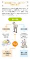 【動くのが怖い腰痛持ちに朗報】痛治療の第一人者・松