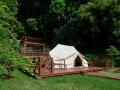日本初の“泊まれる植物園”『THE BOTANICAL RESORT 林