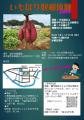 【東京・多摩】羽村・福生・昭島で合同まちあるき開催