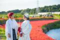 300万本の彼岸花が祝福。1年に1組限定「彼岸花のutf-8