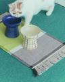ペットとの暮らしを楽しくするアイテムを発売