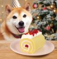 “平日だからこそ、ちゃんと特別。”「FUJIYA×Snow Man