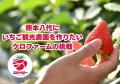 【熊本県内初の起業家支援のカタチ】「八代の未来を創