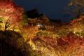今秋の「そうだ 京都、行こう。」は、ゆったり・贅沢