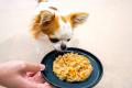 愛犬に“秋冬のごちそう”を楽しめるごはんをお届け。コ